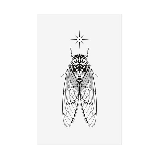 double drummer cicada print