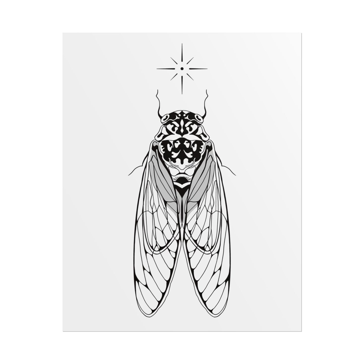 double drummer cicada print