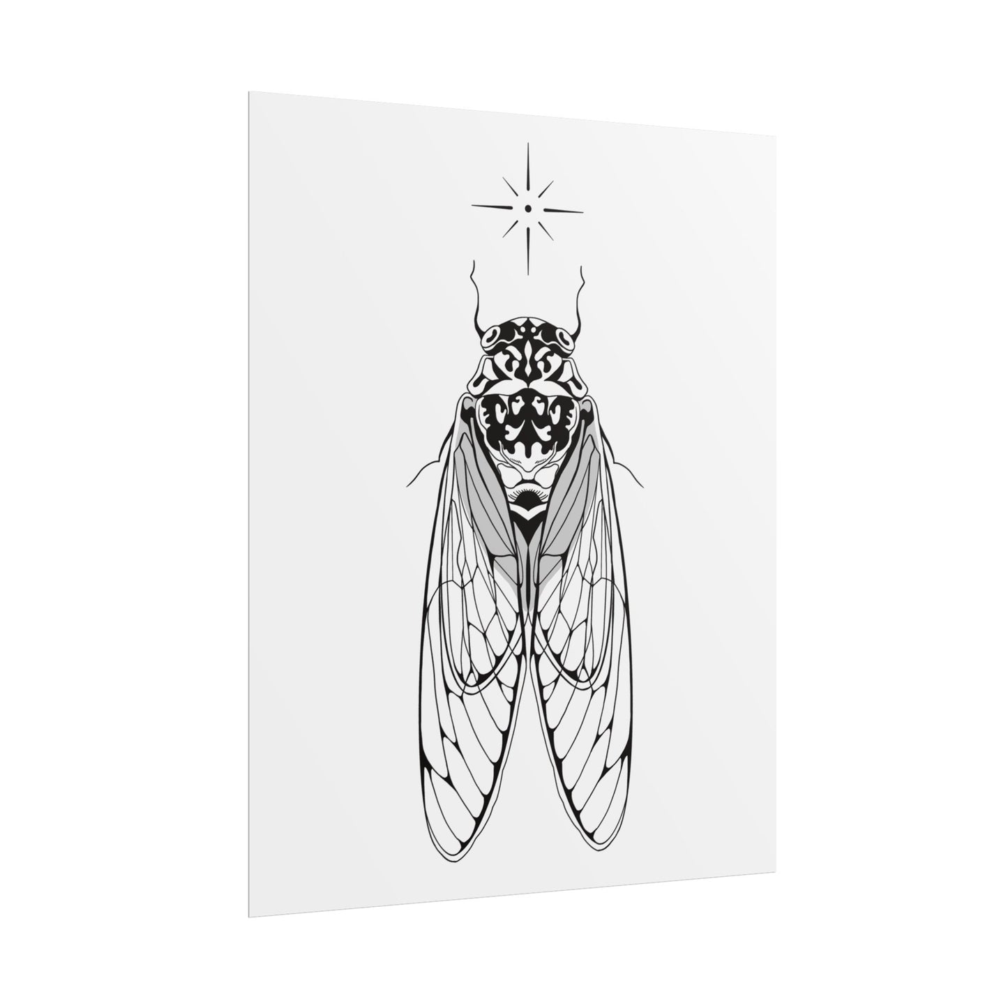 double drummer cicada print