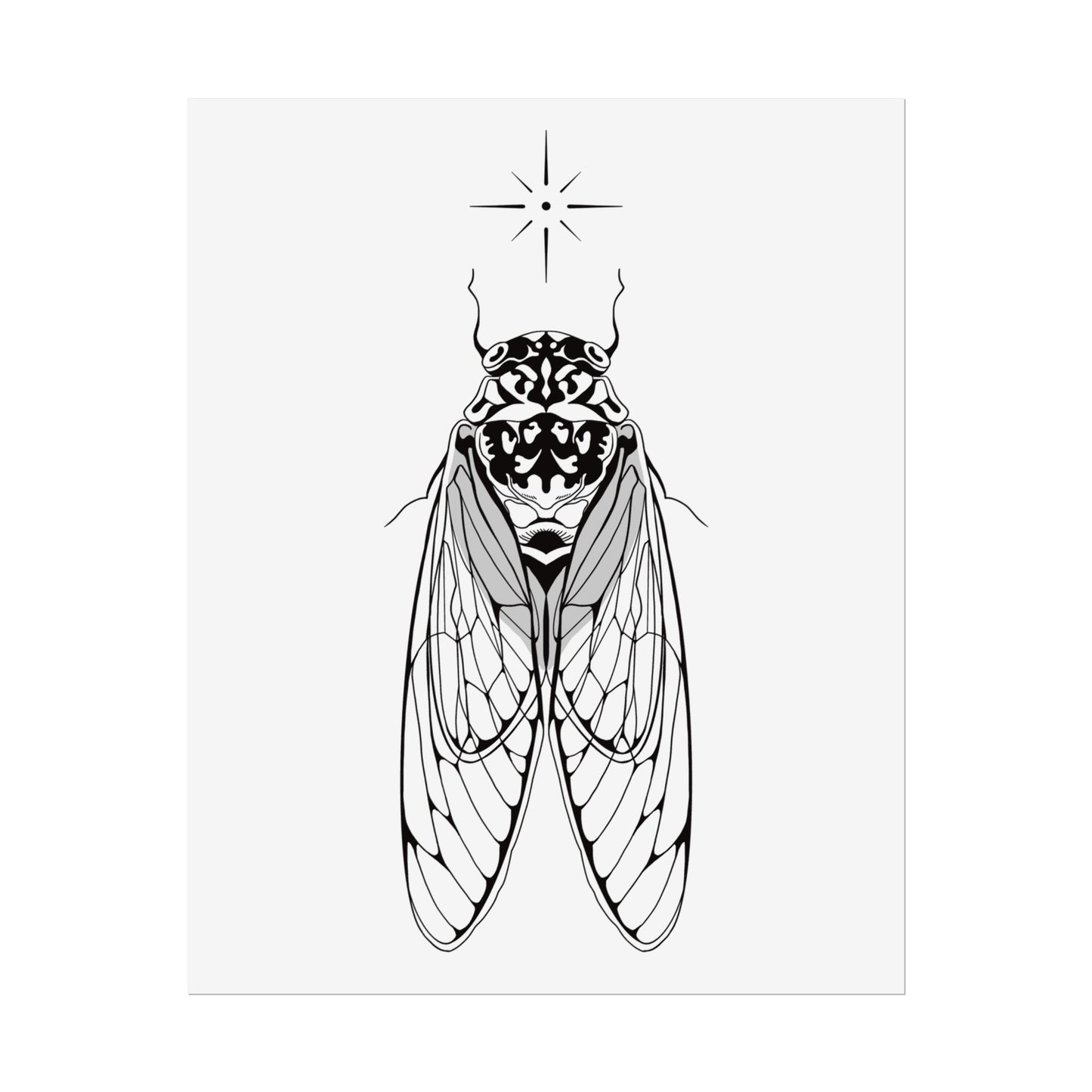 double drummer cicada print