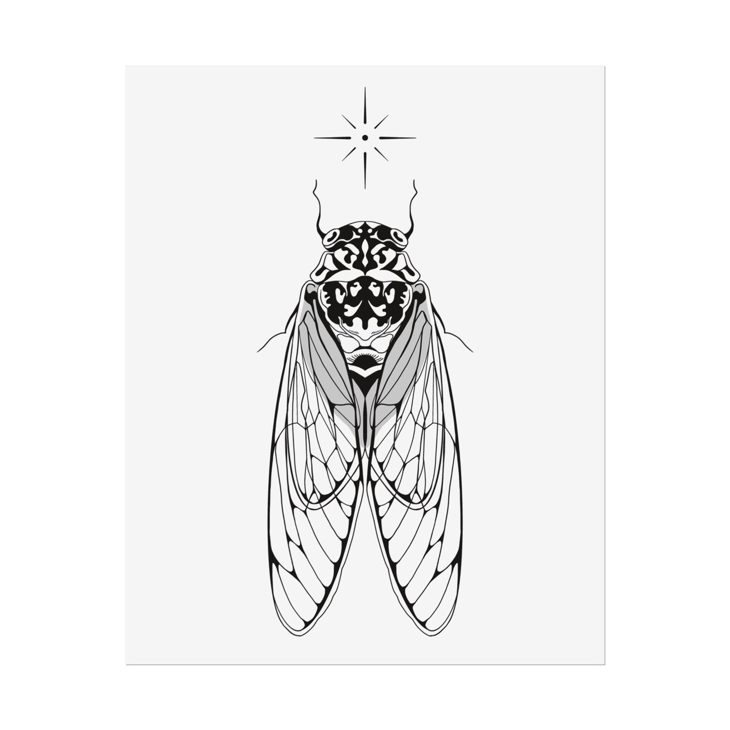 double drummer cicada print