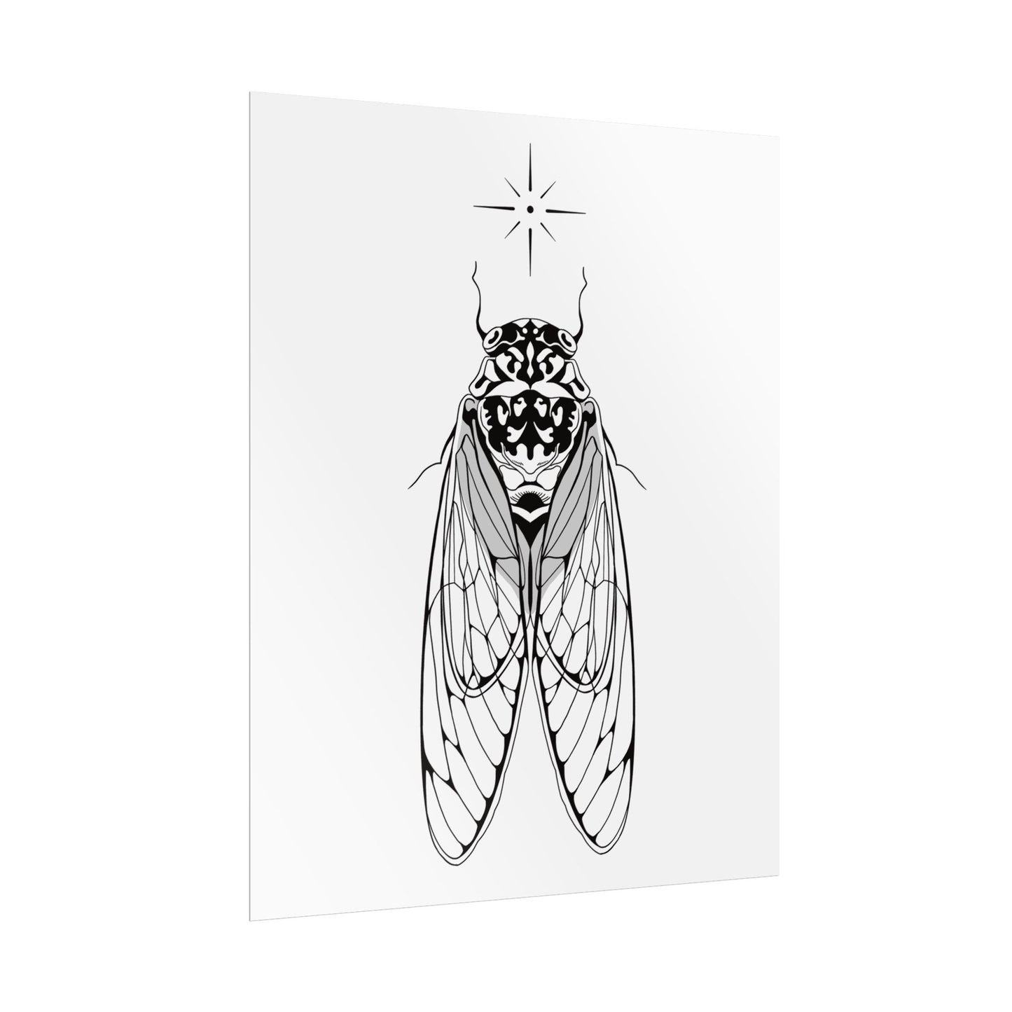 double drummer cicada print