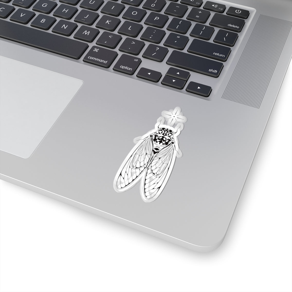 cicada sticker