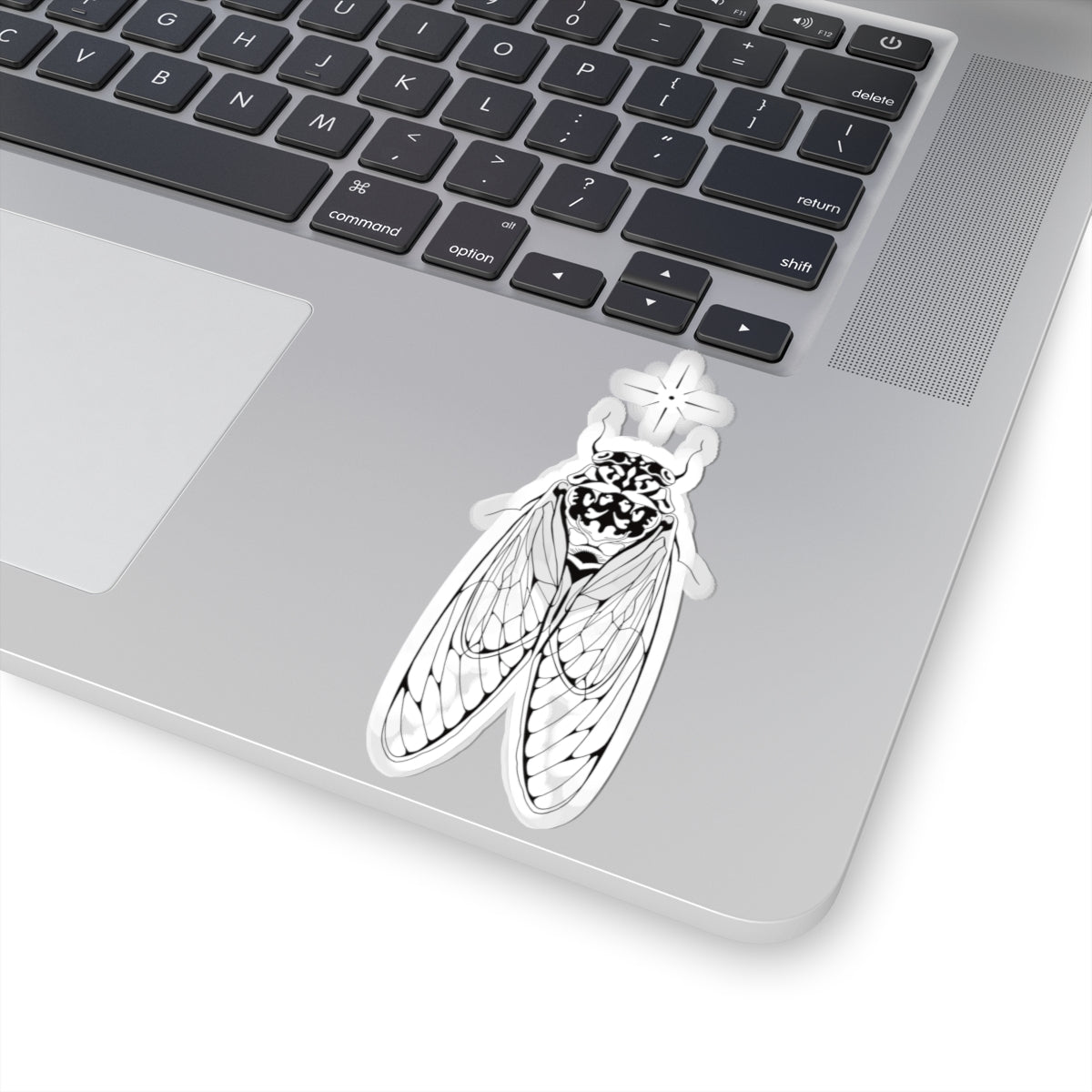 cicada sticker