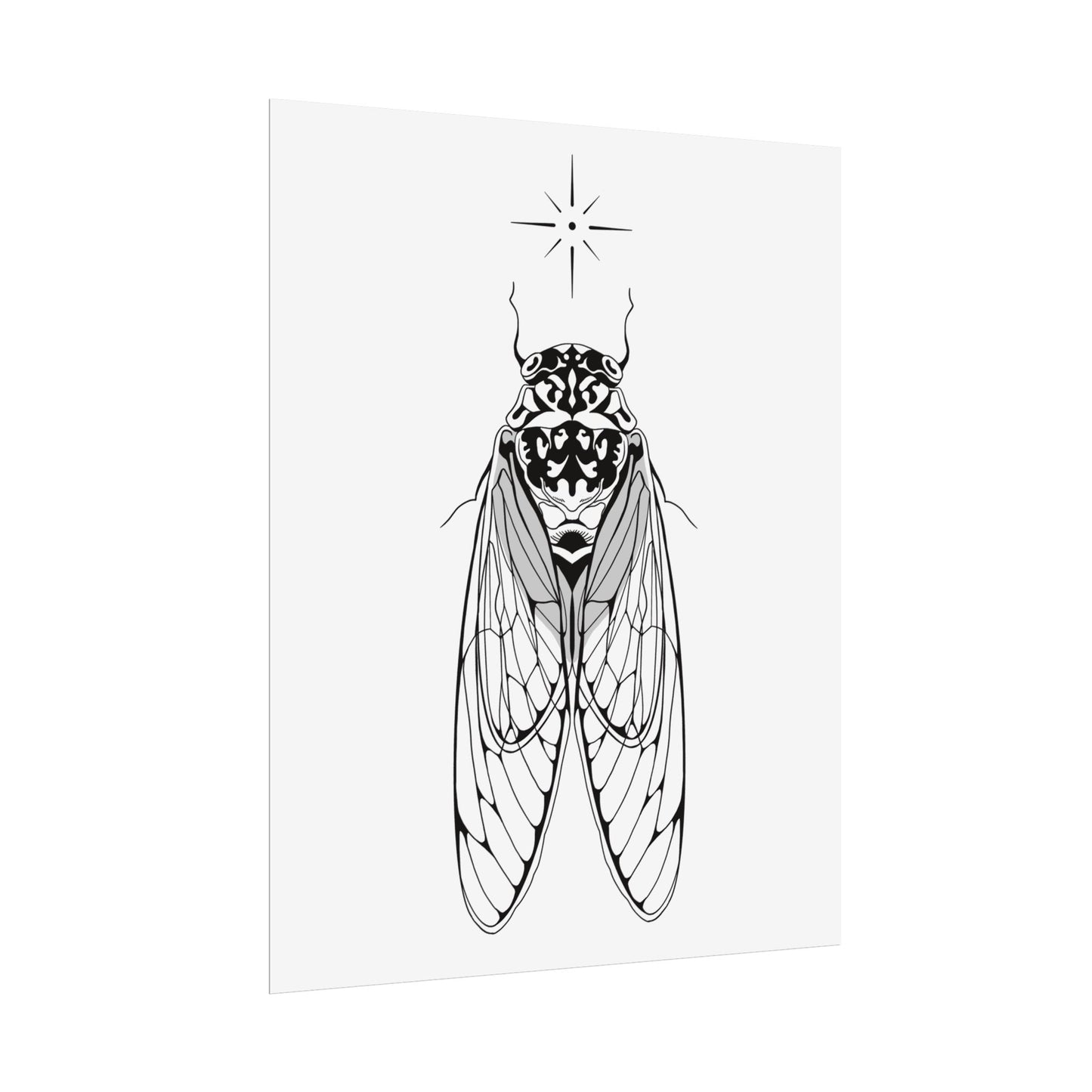 double drummer cicada print